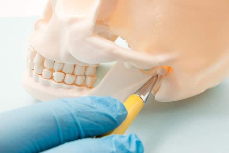 Dental professional examining dental implant on skull model with instruments in clinical setting.